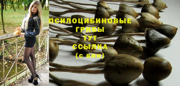 экстази Пролетарск