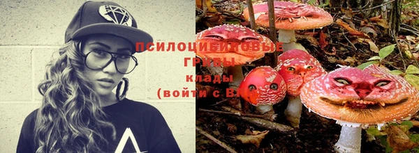 не бодяженный Инсар