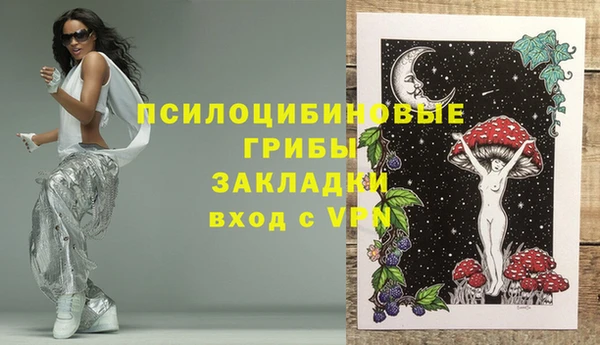 не бодяженный Инсар