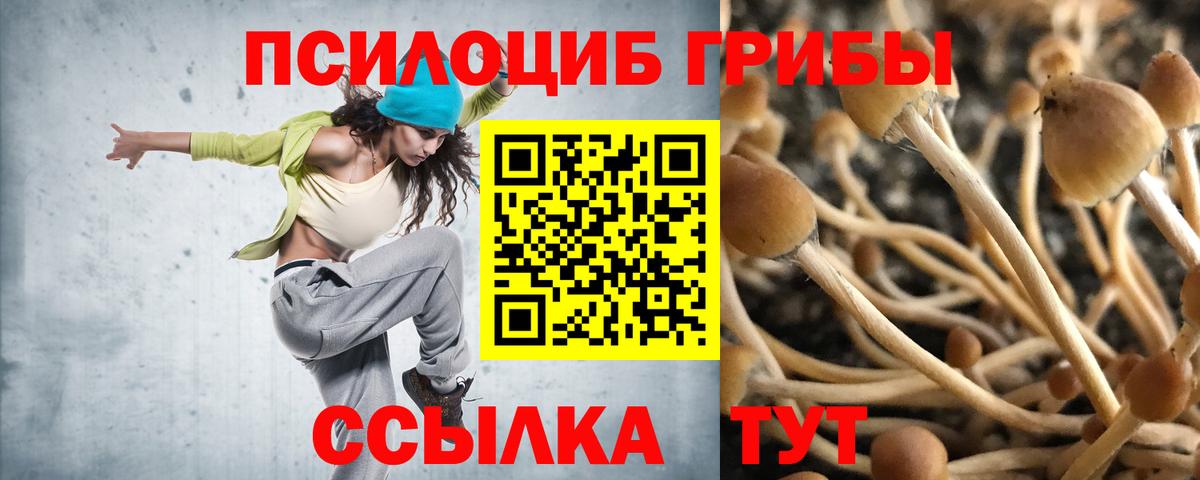 Псилоцибиновые грибы мухоморы  купить   Ишимбай  Вход с VPN 