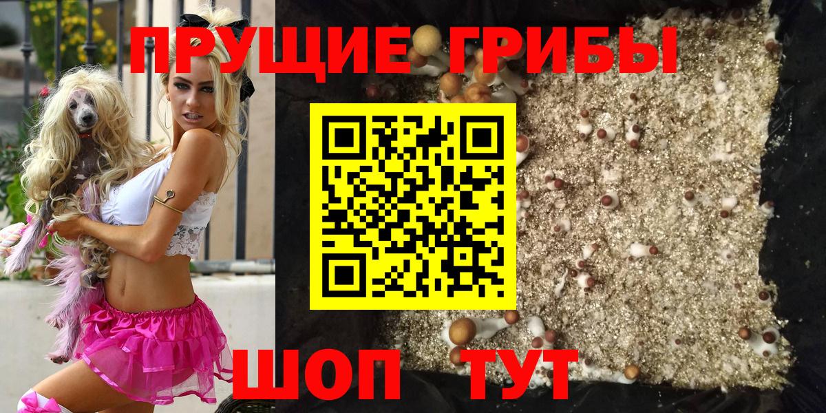 Псилоцибиновые грибы мицелий Ишимбай