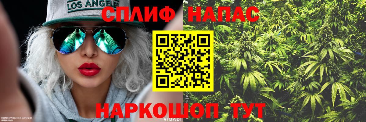 Каннабис White Widow  Вход с VPN  МАРИХУАНА конопля  МАРИХУАНА Amnesia  Бошки Шишки конопля  Ишимбай 